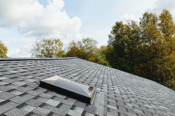 Flat Roof Skylights: Everything You Need to Know Before Installing