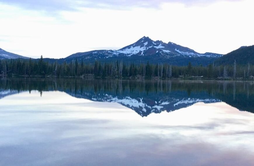 NAEGELI Deposition & Trial