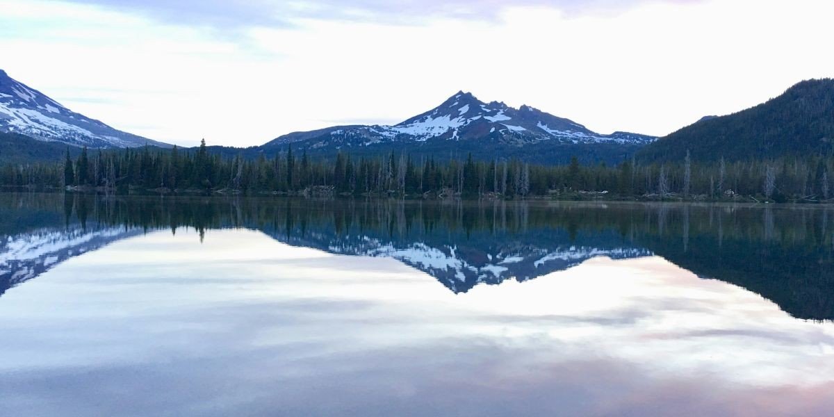 NAEGELI Deposition & Trial